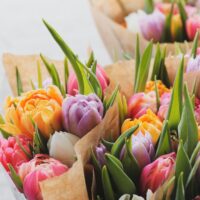 Willoughby Florist Delivers Fresh Blooms for Every Celebration