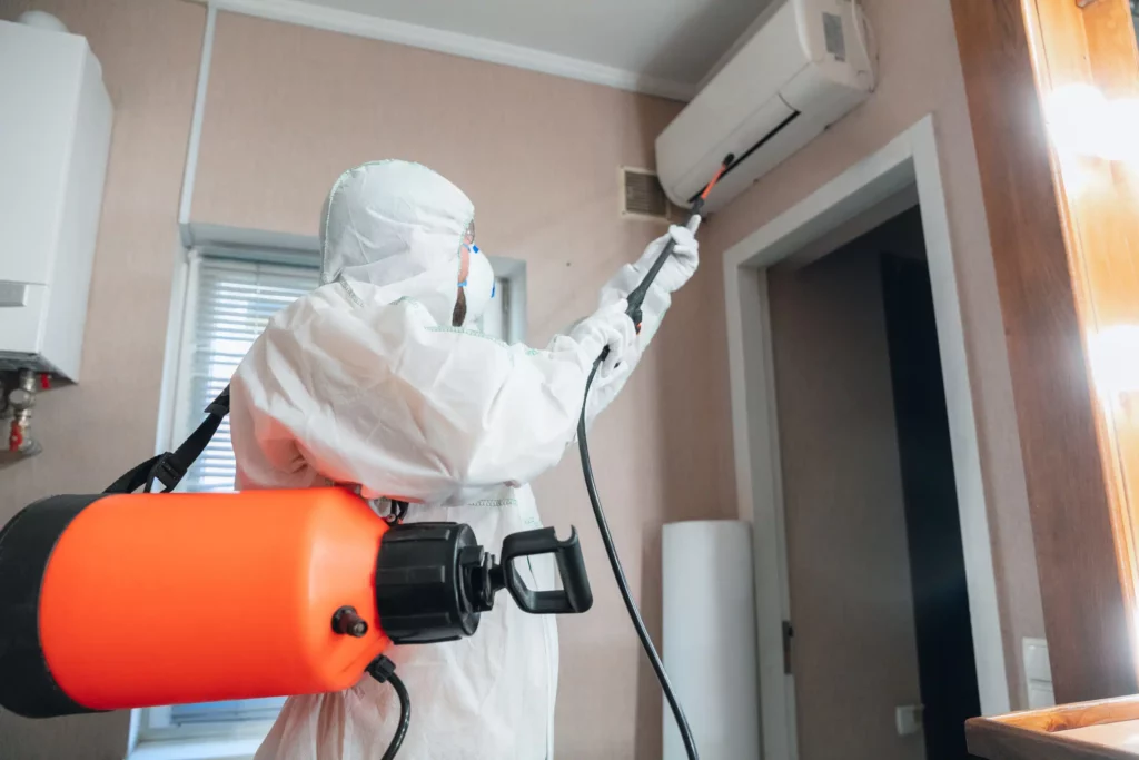 How to Choose the Right Pest Control Sydney Service for a Pest-Free Home