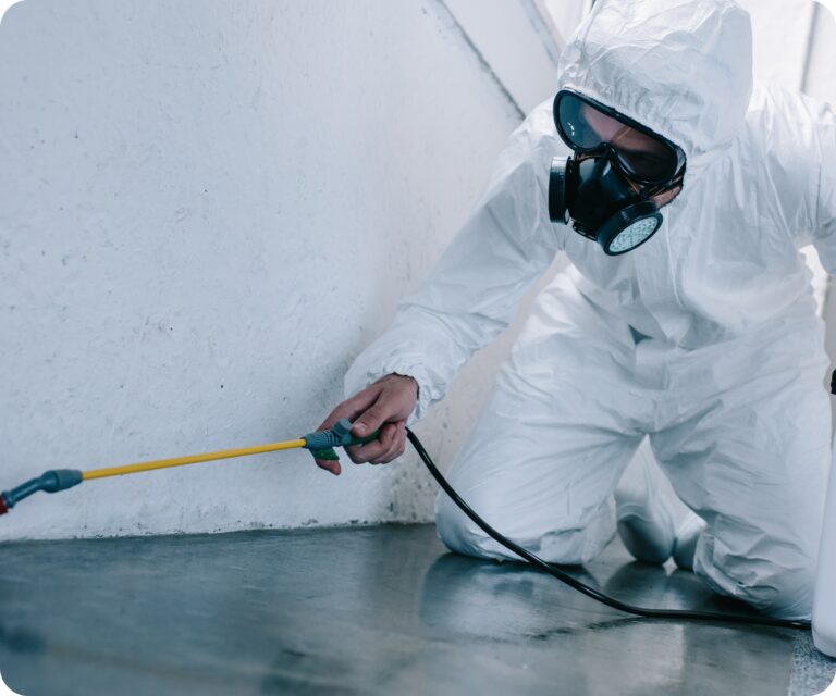 Why Hiring a Professional Pest Control Service in Sydney Is Worth It